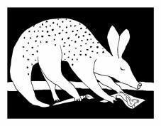 Aardvark Art